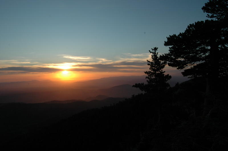 DSC_3403.JPG