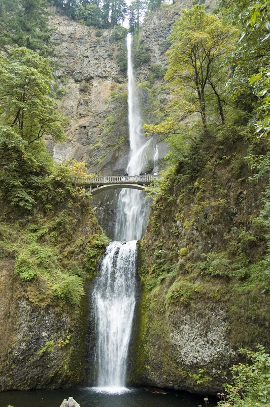 DSC_8085.jpg